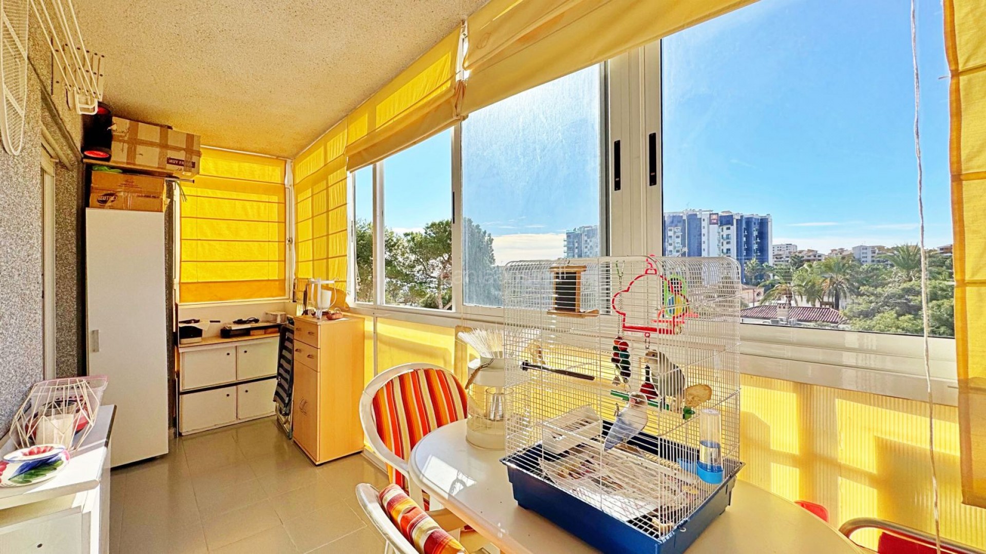 Segunda mano - Apartamento -
Torrevieja - Rocio del Mar