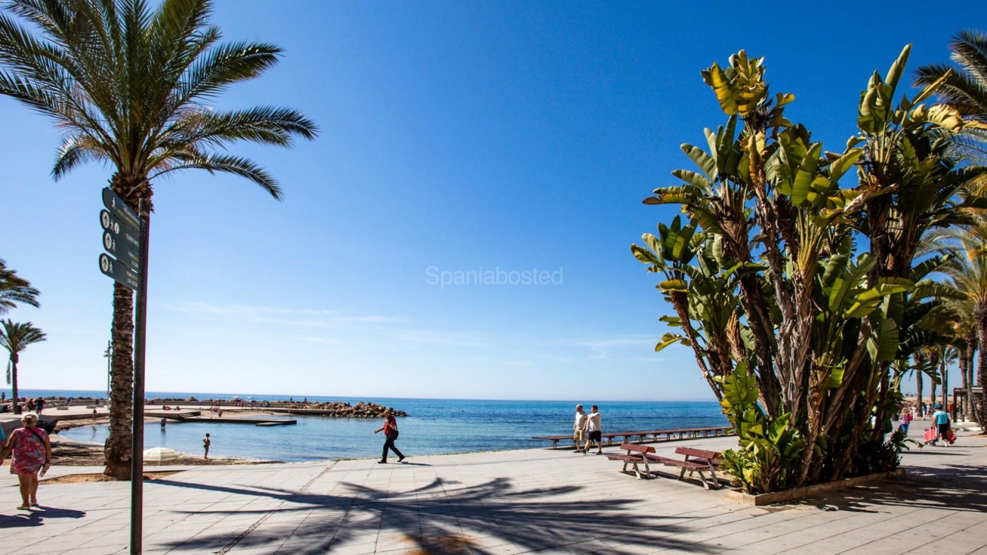 Segunda mano - Apartamento -
Torrevieja