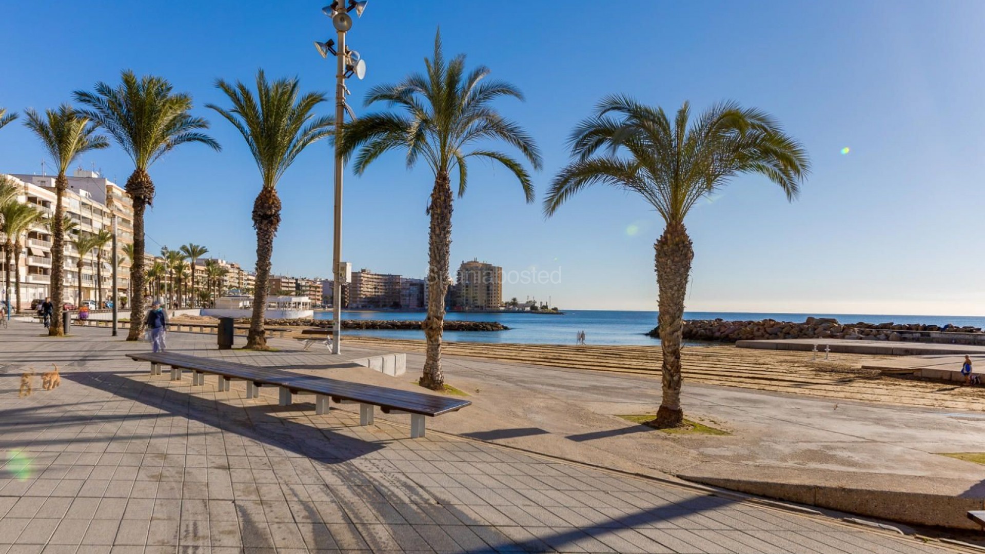 Segunda mano - Apartamento -
Torrevieja