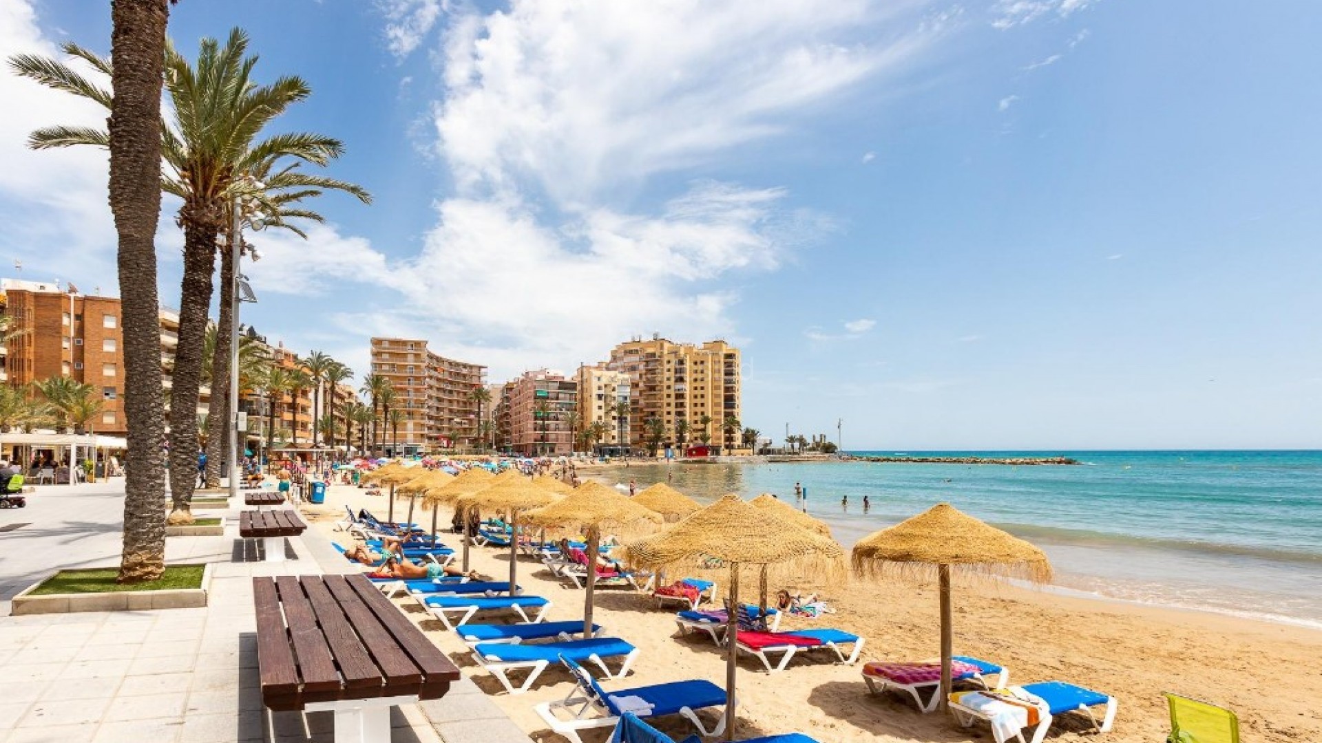 Segunda mano - Apartamento -
Torrevieja