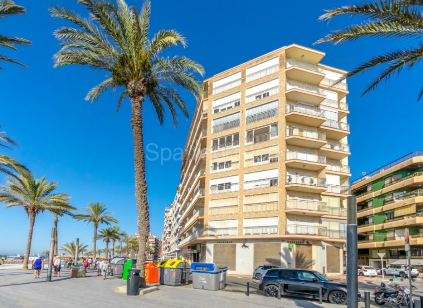 Segunda mano - Apartamento -
Torrevieja