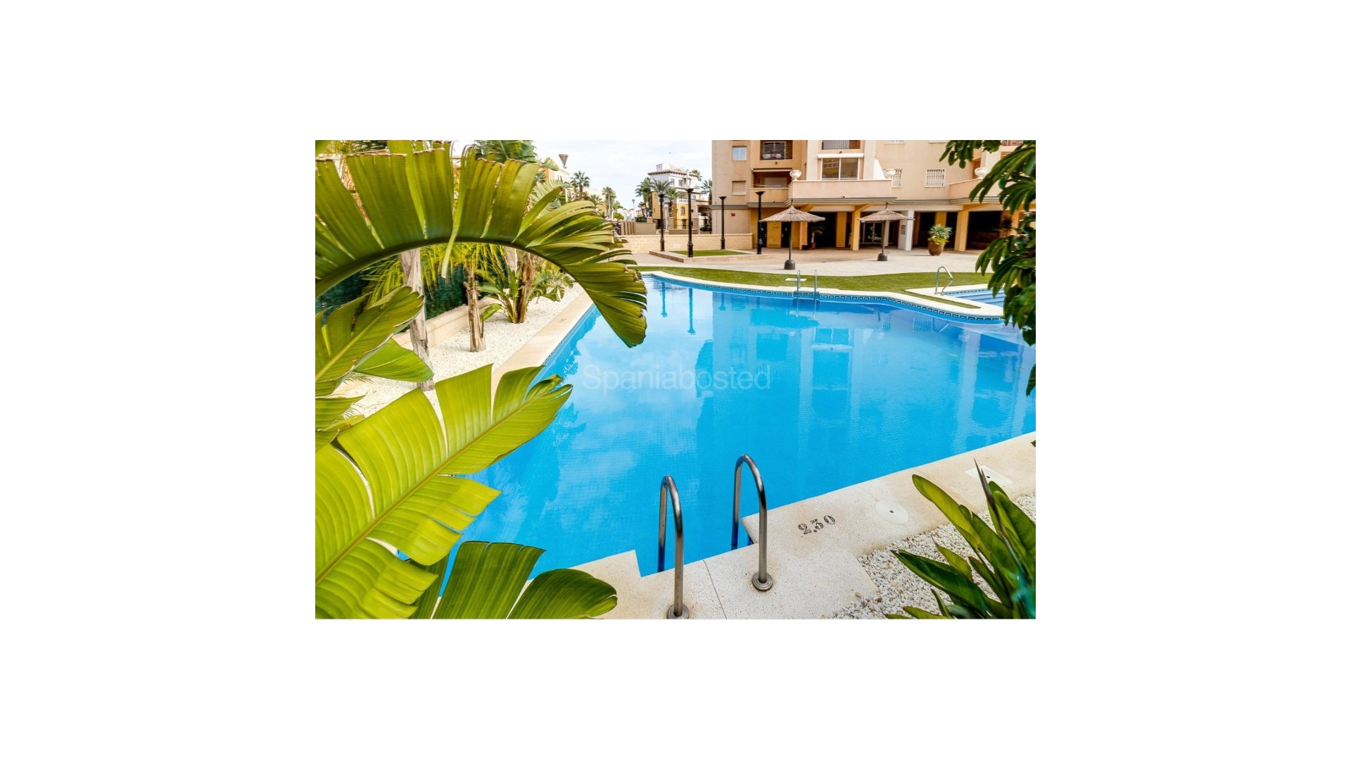 Segunda mano - Apartamento -
Torrevieja