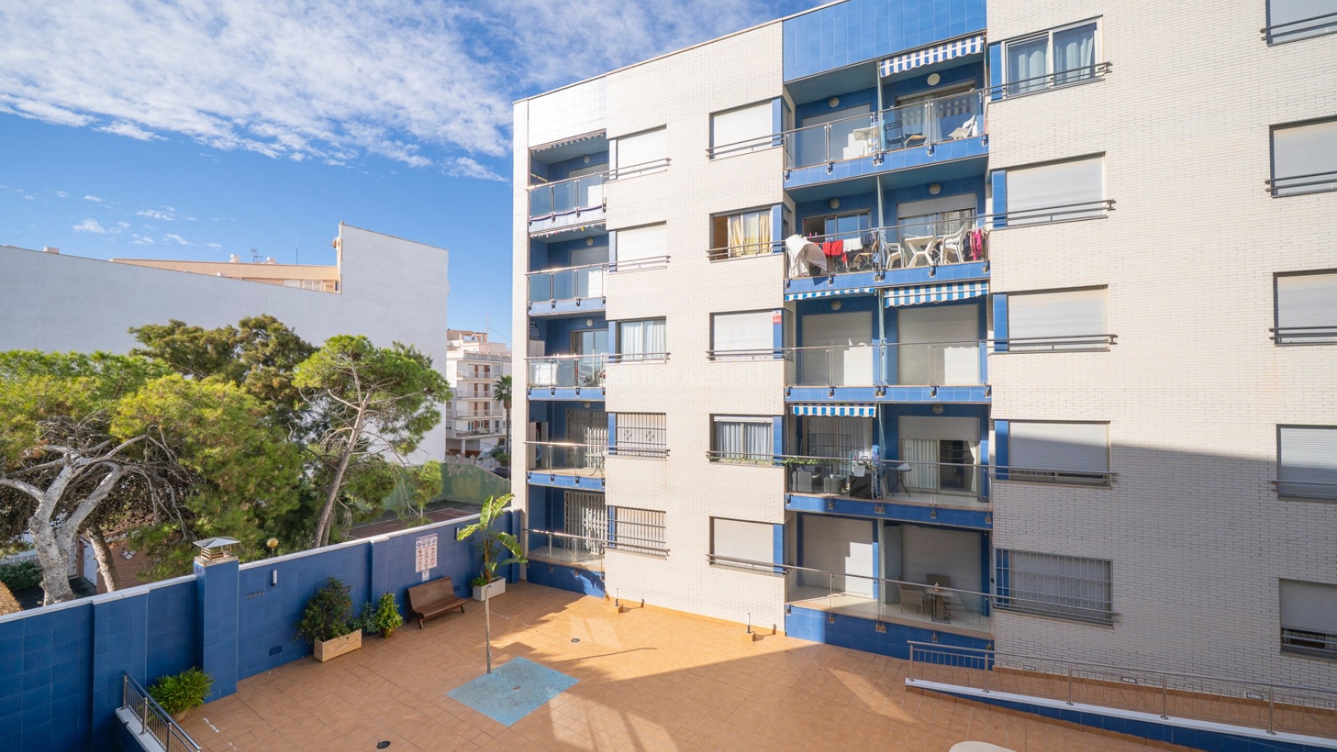Segunda mano - Apartamento -
Torrevieja