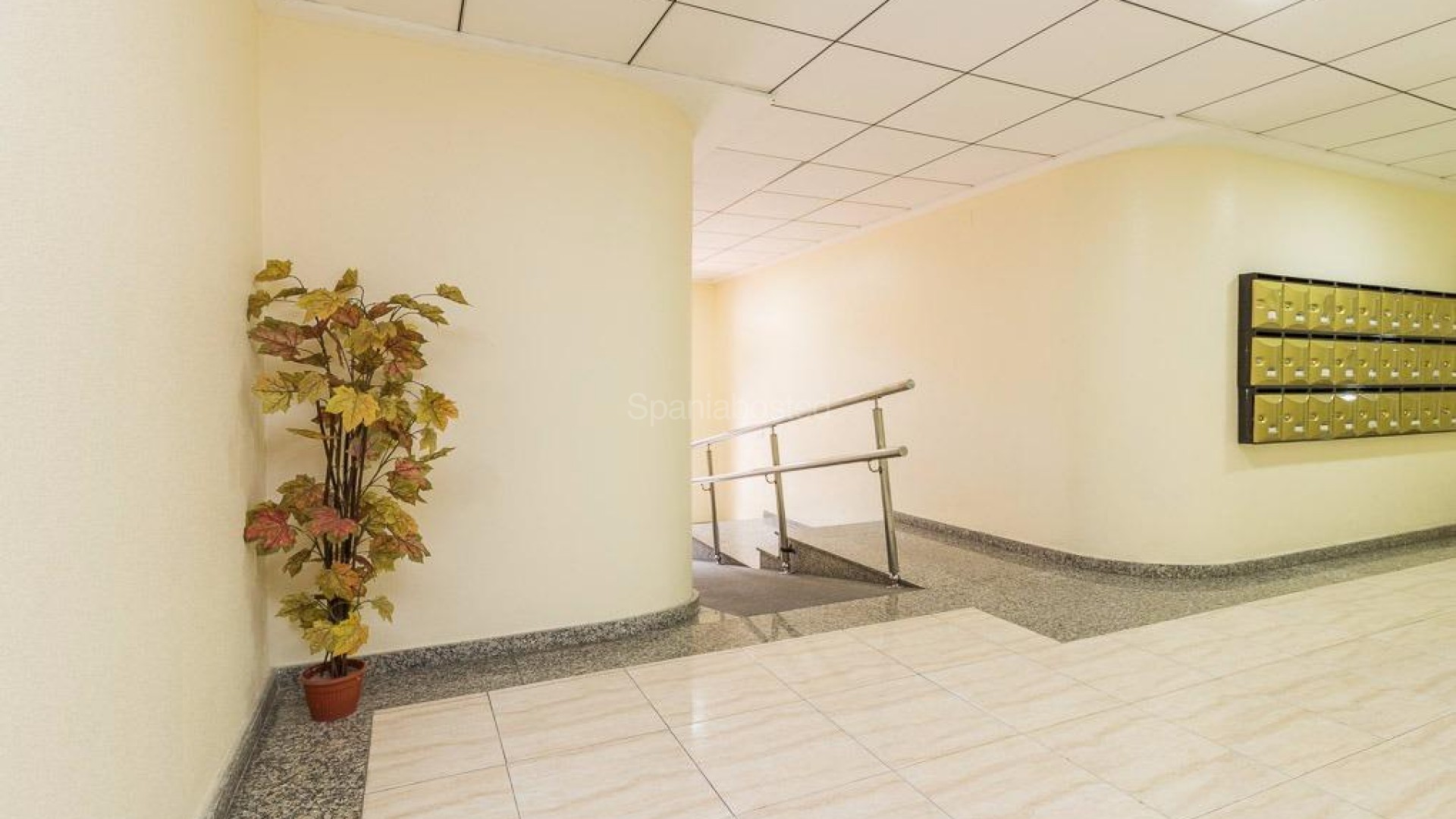 Segunda mano - Apartamento -
Torrevieja