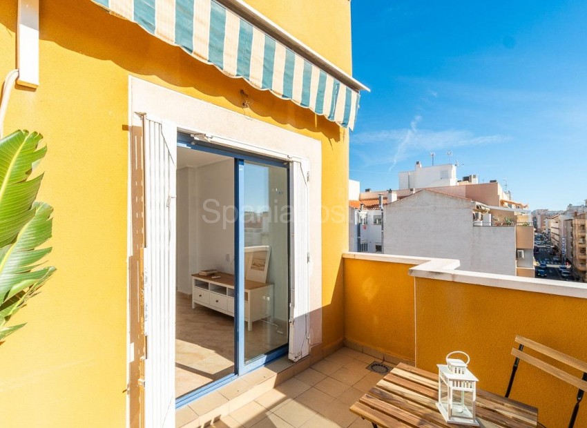 Segunda mano - Apartamento -
Torrevieja