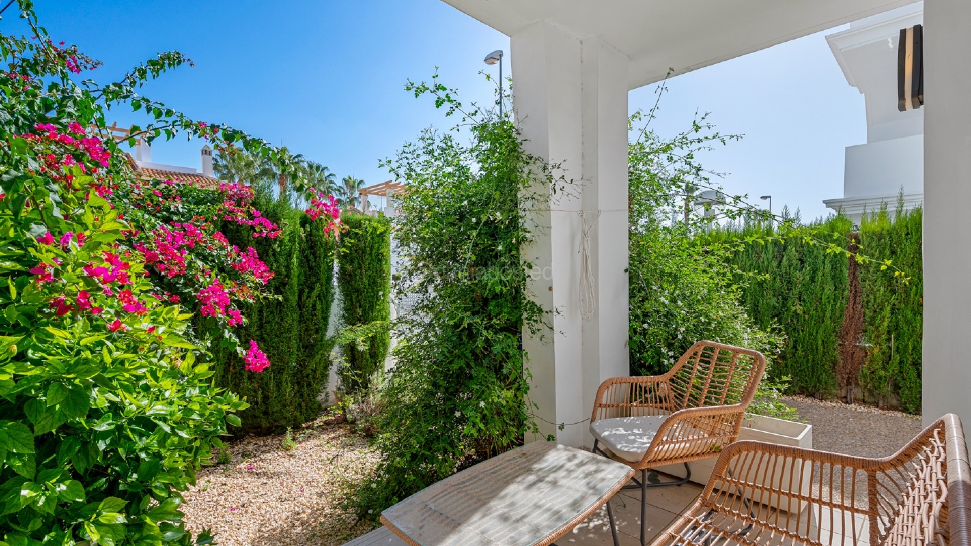 Segunda mano -  -
Ciudad Quesada - Rojales - Ciudad Quesada