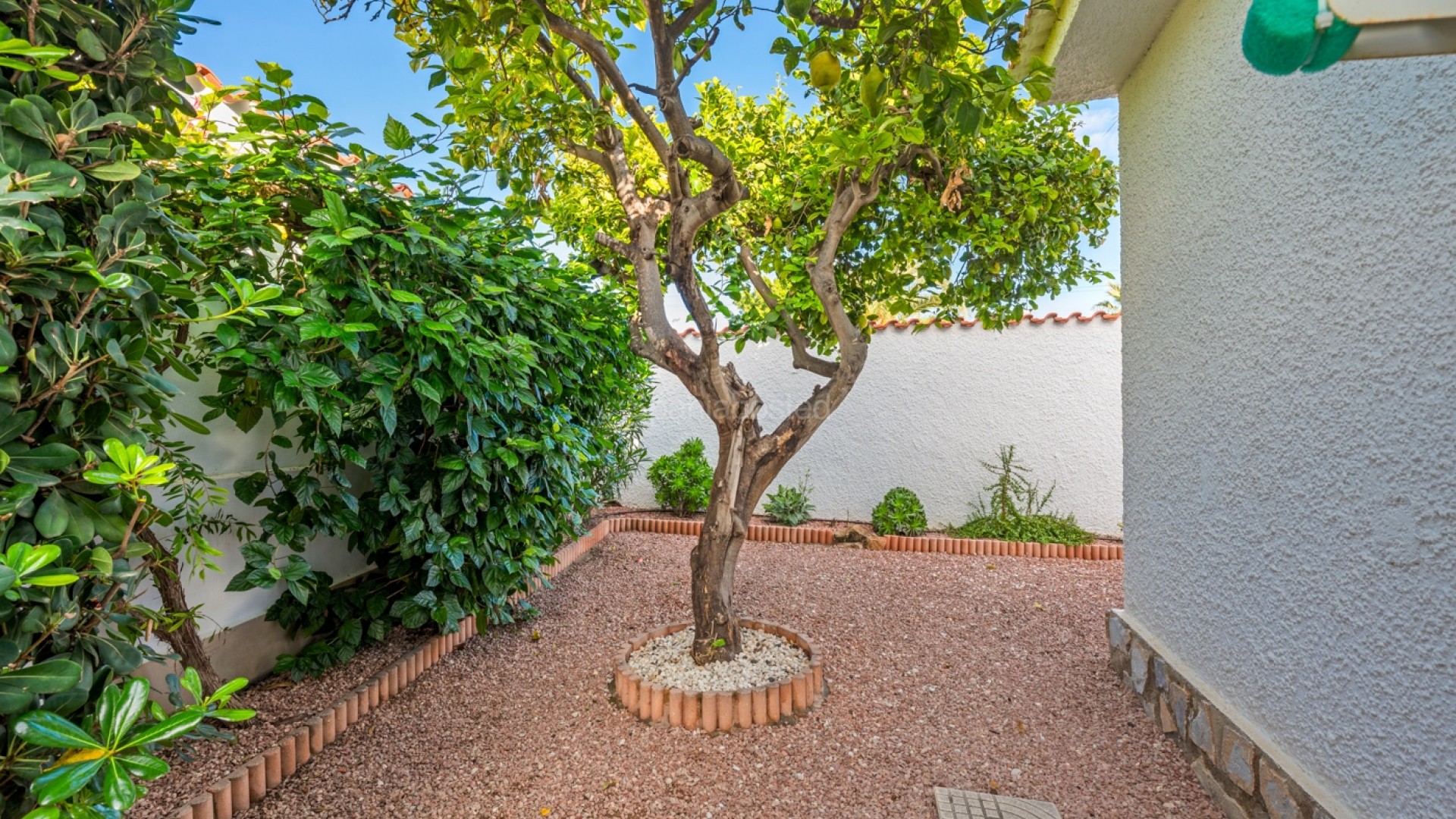 Segunda mano - Villa -
Ciudad Quesada - Rojales - Rojales