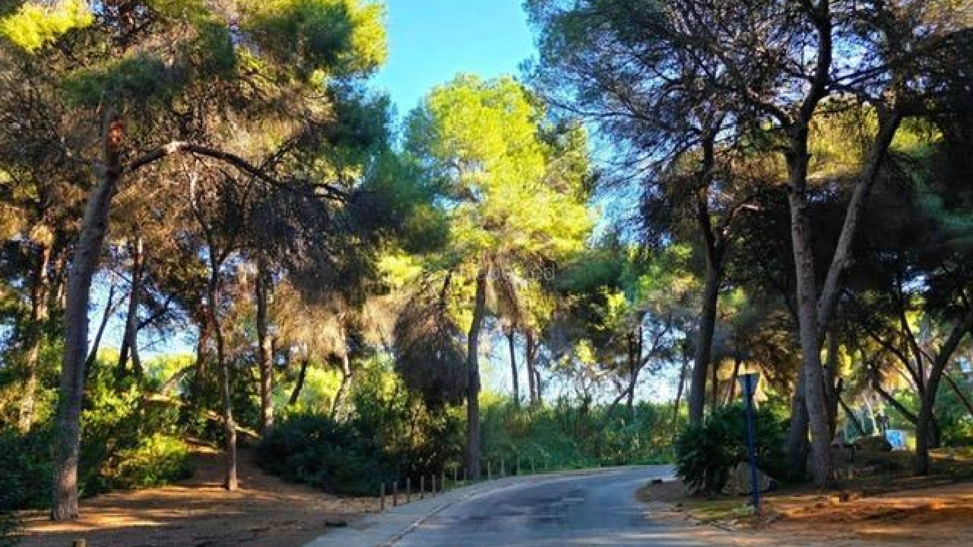 Segunda mano - Villa -
Dehesa de campoamor - Campoamor