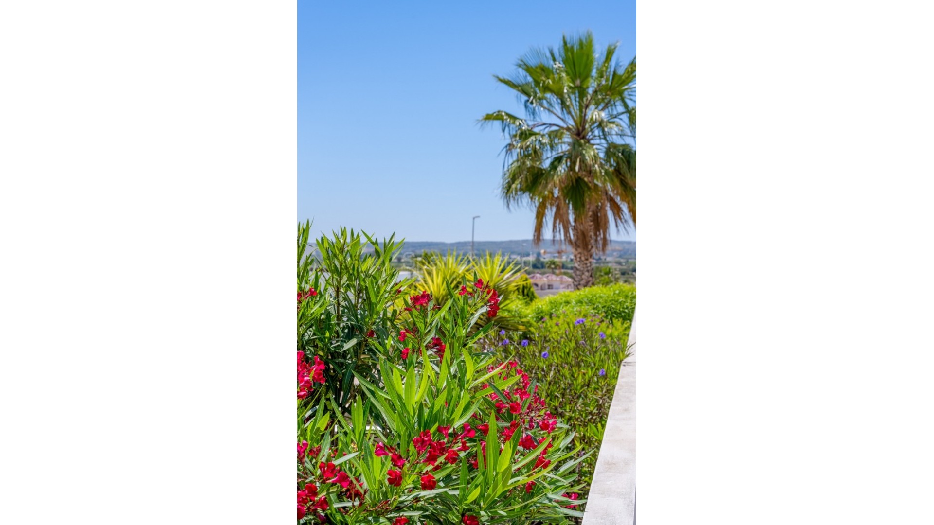 Segunda mano - Villa -
La Marina