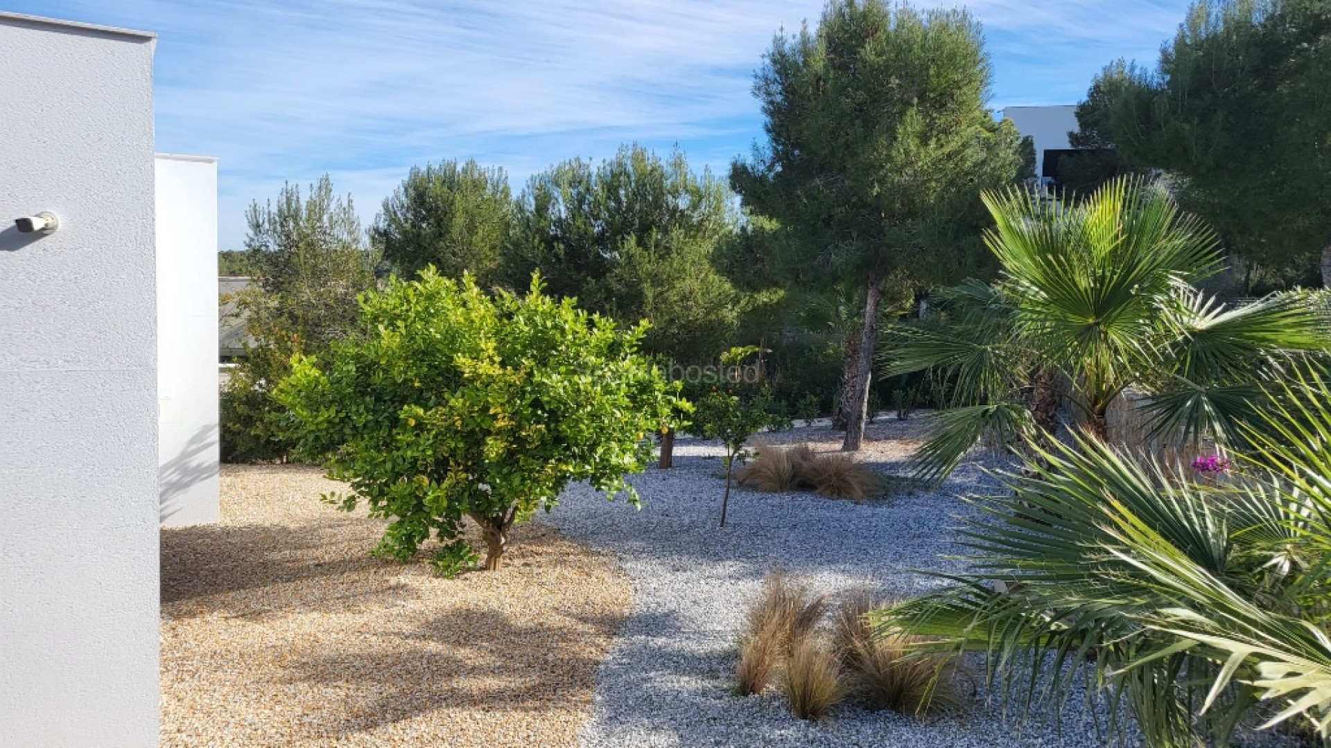 Segunda mano - Villa -
Las Colinas - Las Colinas Golf