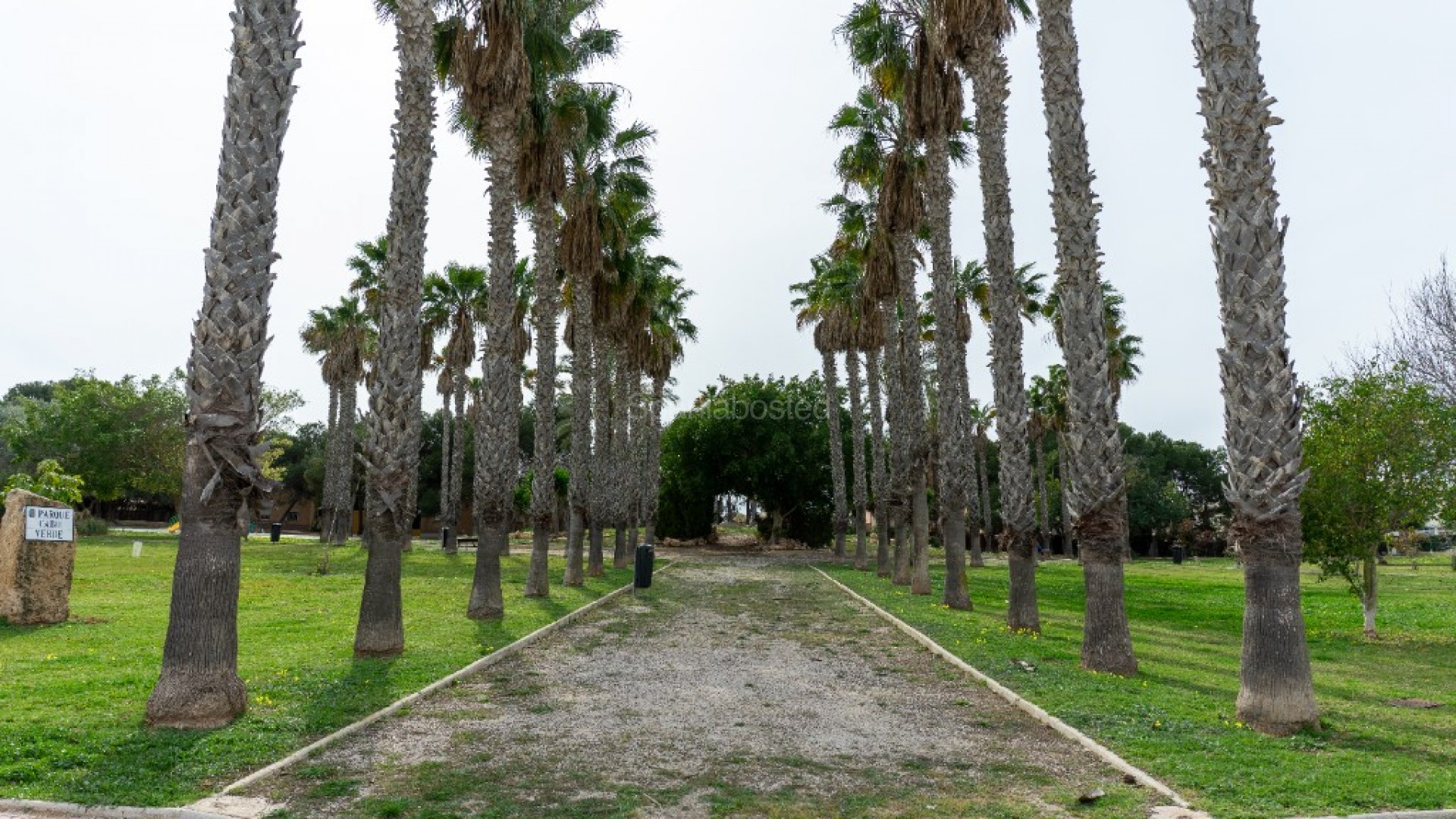 Segunda mano - Villa -
Torrevieja - Los Altos