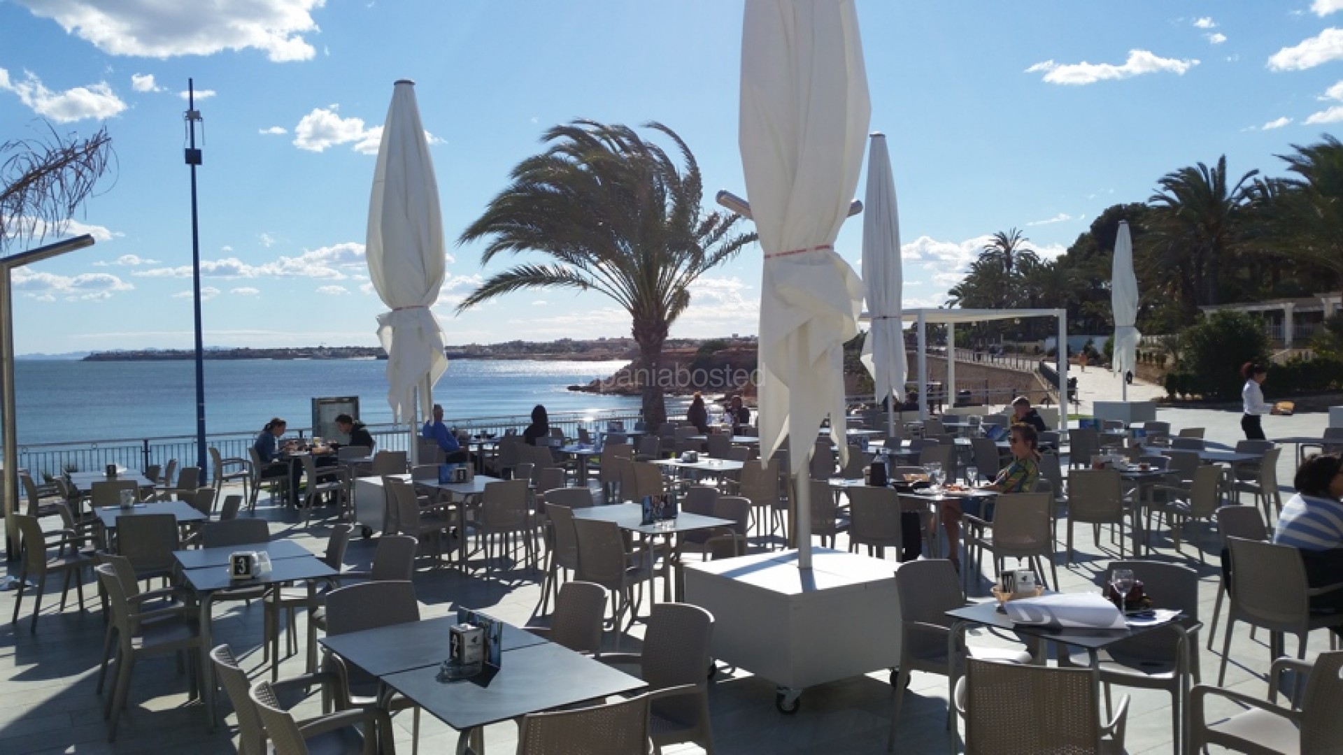 Short time rental - Apartment -
Punta Prima