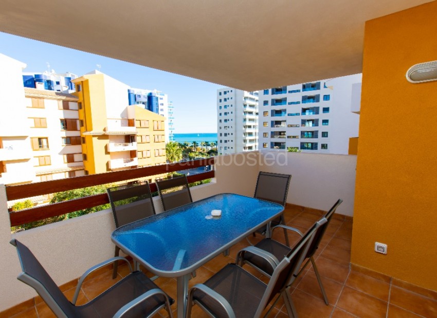 Short time rental - Apartment -
Punta Prima