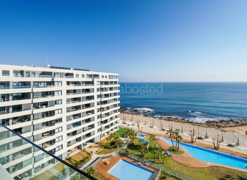 Short time rental - Apartment -
Punta Prima
