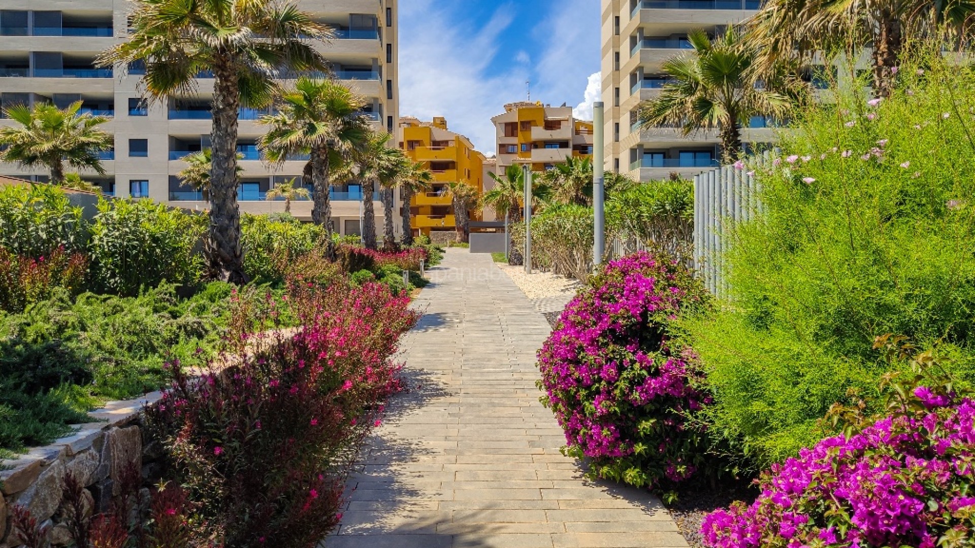 Short time rental - Apartment -
Punta Prima