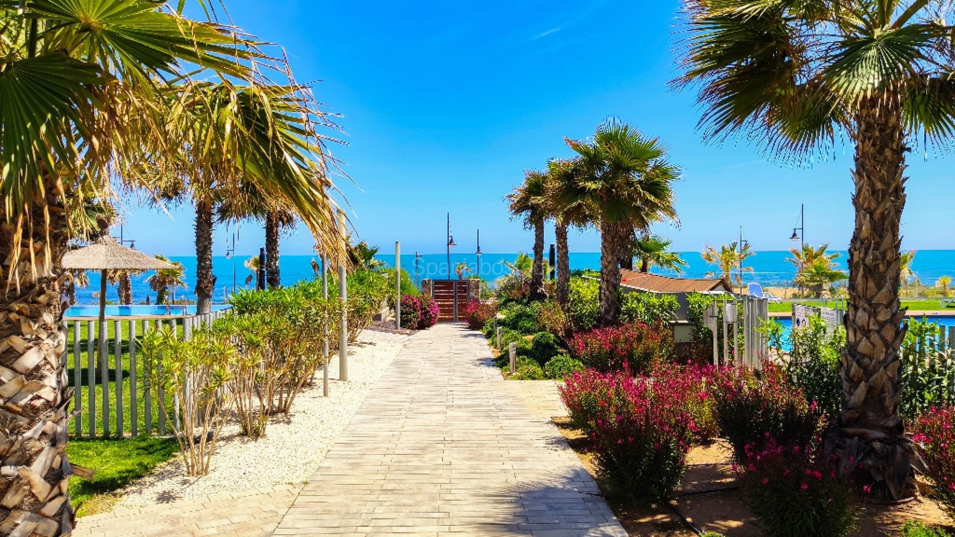 Short time rental - Apartment -
Punta Prima