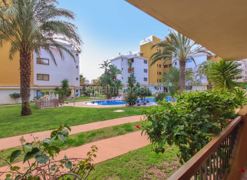 Short time rental - Apartment -
Punta Prima