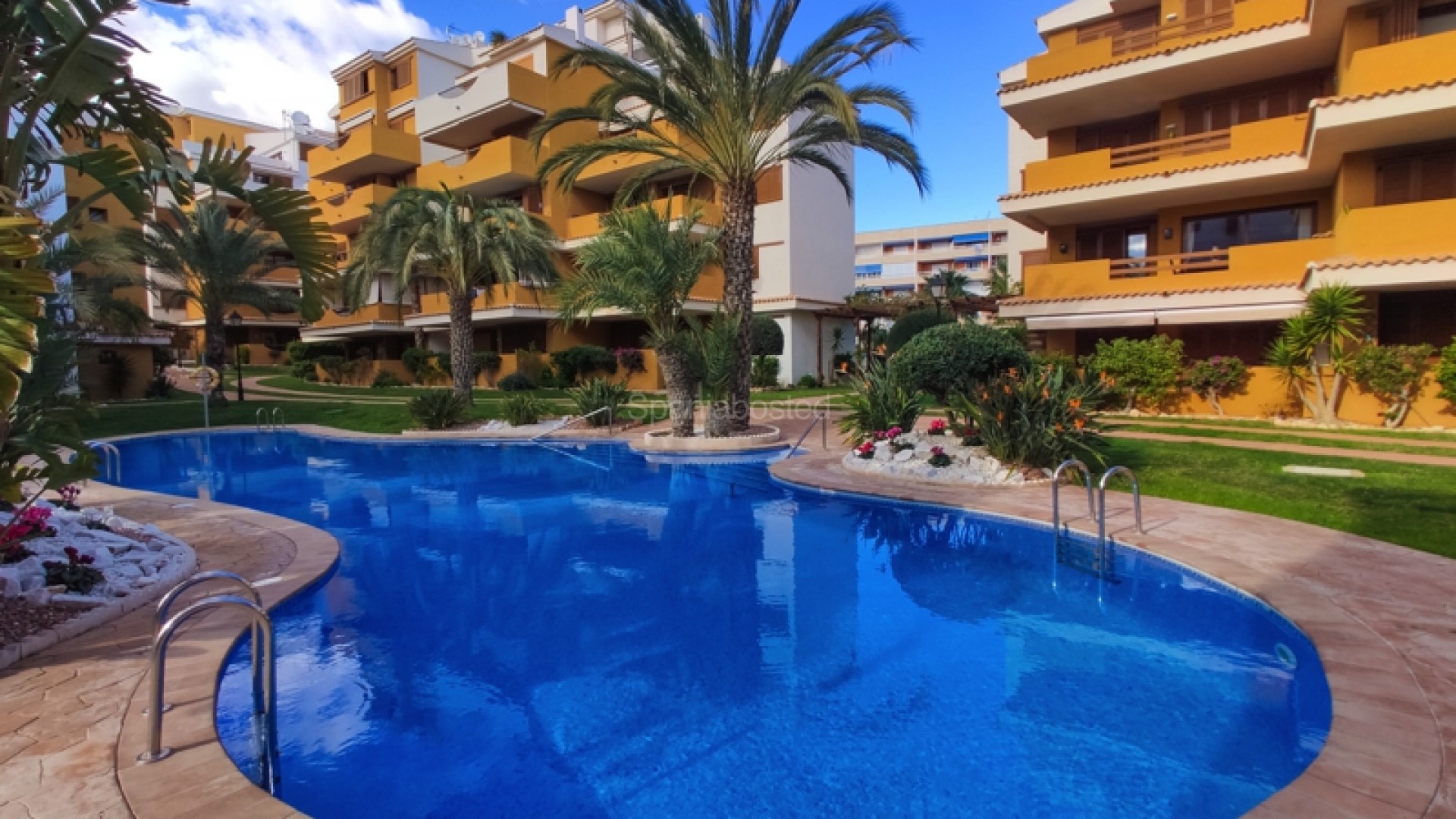 Short time rental - Apartment -
Punta Prima