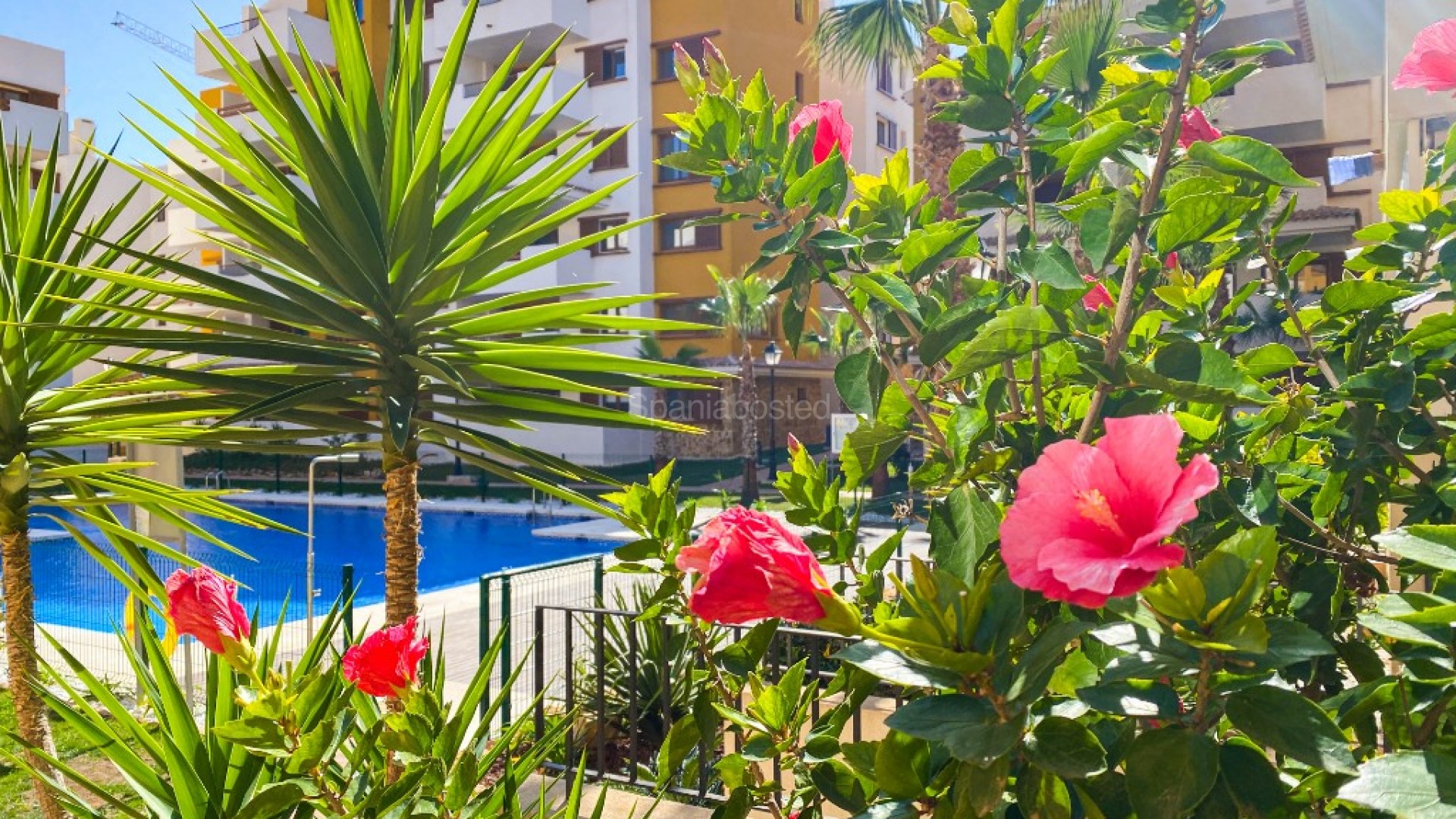 Short time rental - Apartment -
Punta Prima