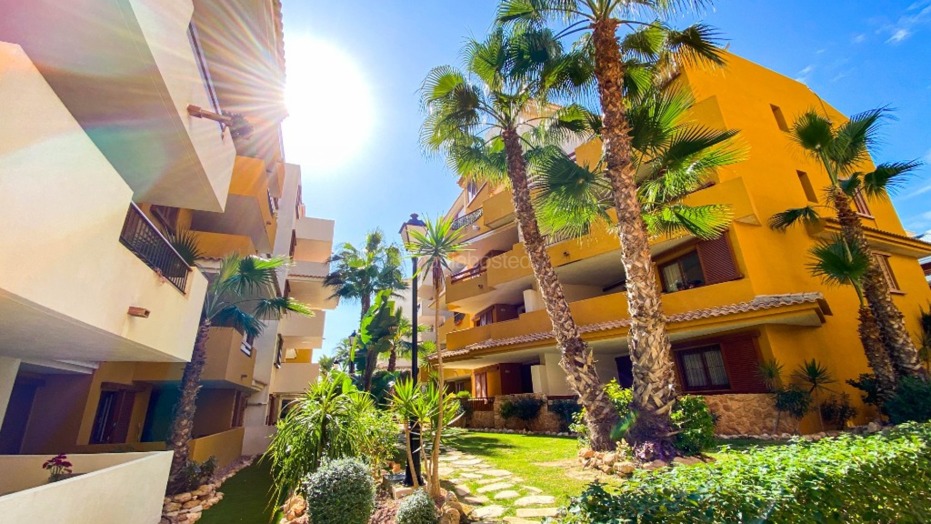 Short time rental - Apartment -
Punta Prima