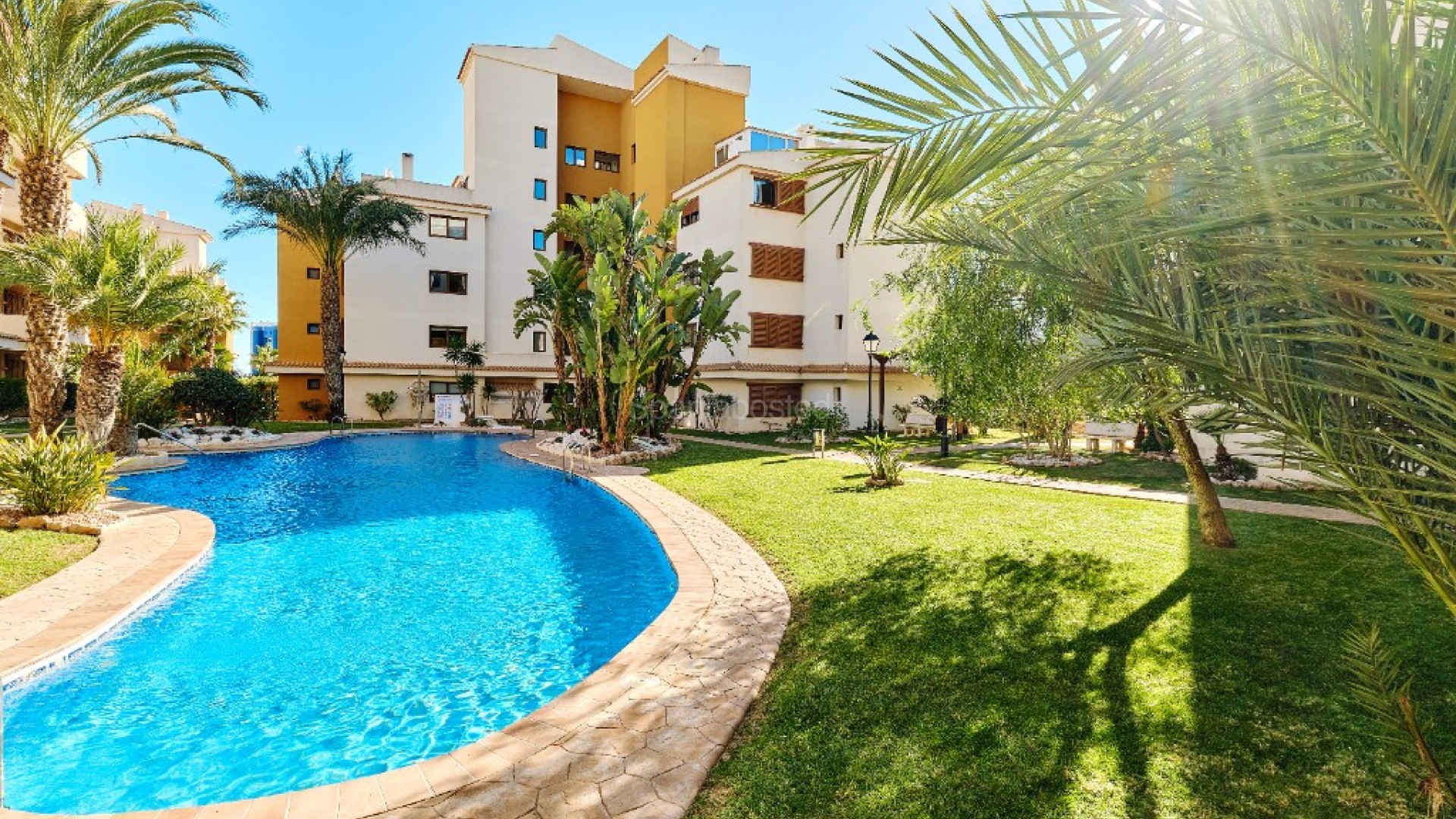 Short time rental - Apartment -
Punta Prima