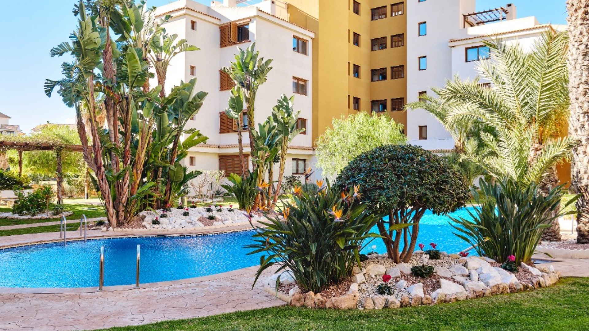 Short time rental - Apartment -
Punta Prima