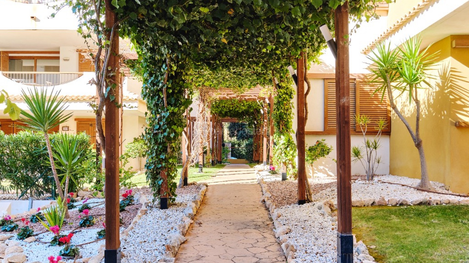 Short time rental - Apartment -
Punta Prima