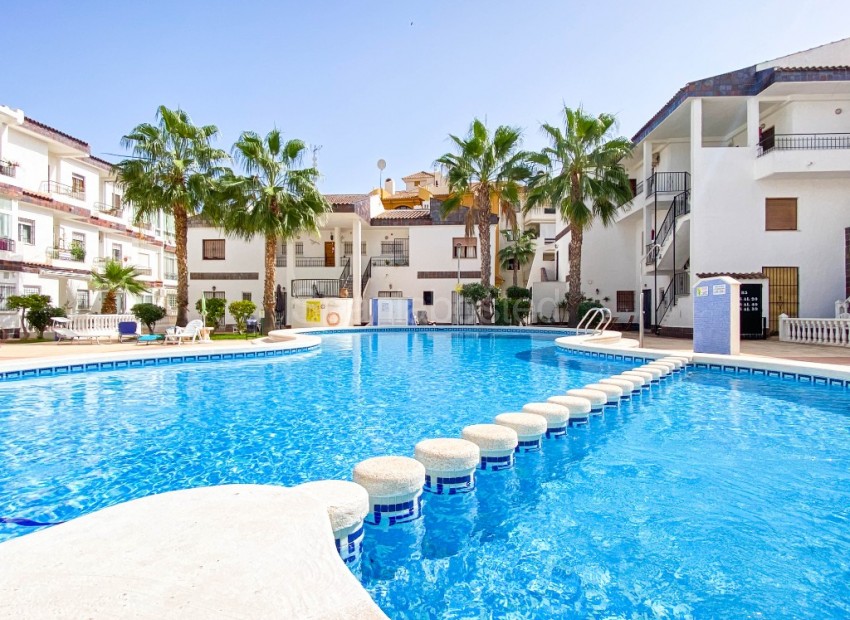 Short time rental - Leilighet -
Punta Prima - Cala Dorada