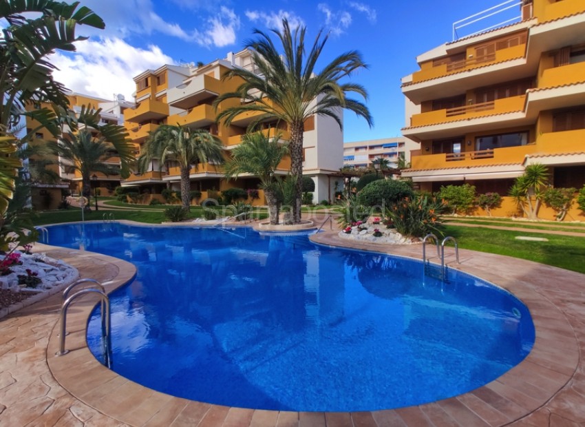 Short time rental - Leilighet -
Punta Prima