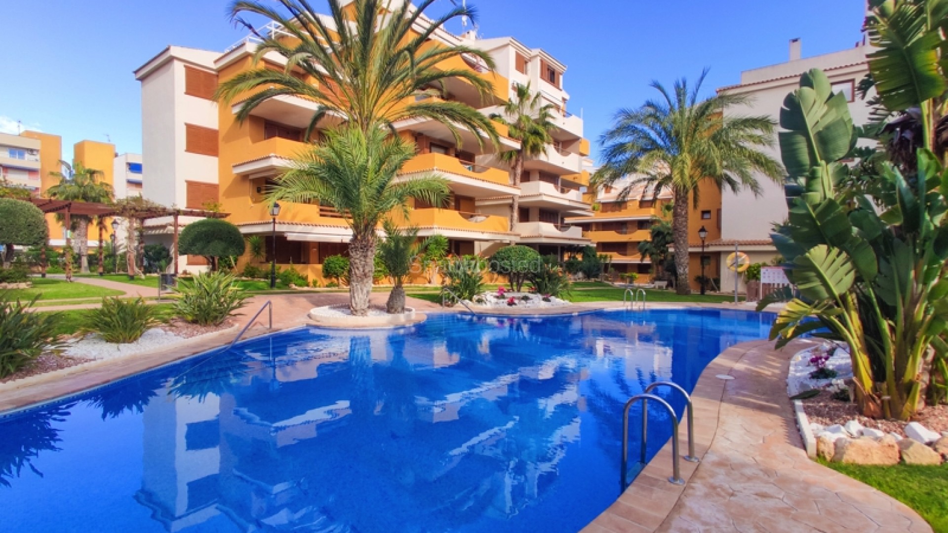 Short time rental - Leilighet -
Punta Prima