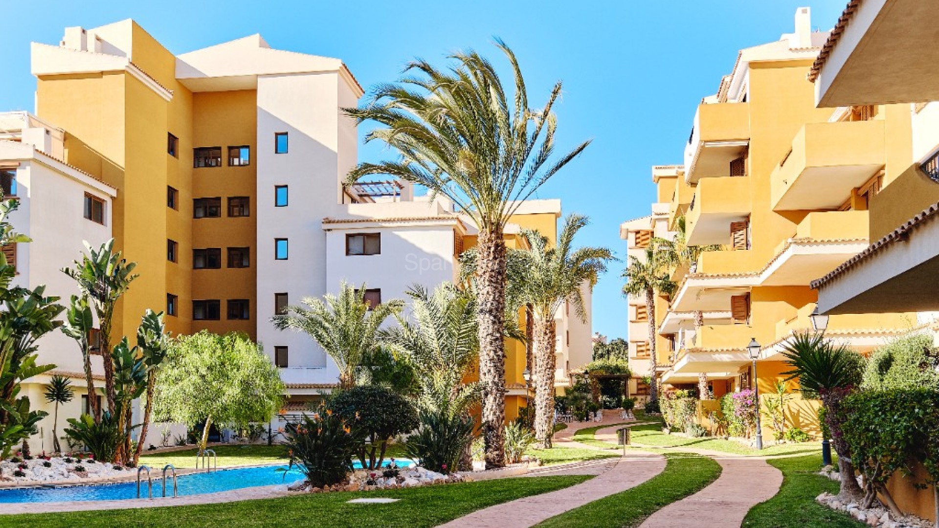 Short time rental - Leilighet -
Punta Prima