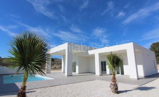 Villa - New Build - Pinoso - GN-38259