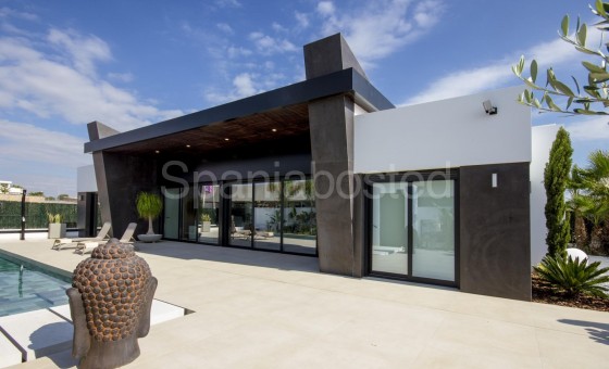 Villa - Nueva construcción  - Rojales - GN-56136
